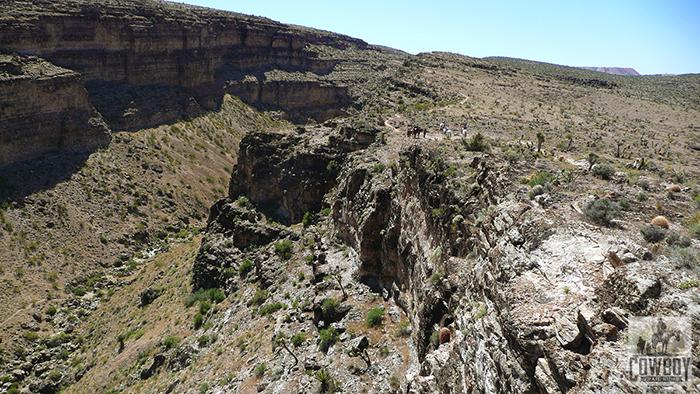 A photo of the Canyon Rim Ride while Horseback Riding in Las Vegas at Cowboy Trail Rides in Red Rock Canyon